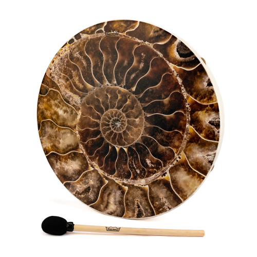 22" Sacred Geometry Ammonite White Buffalo Drum