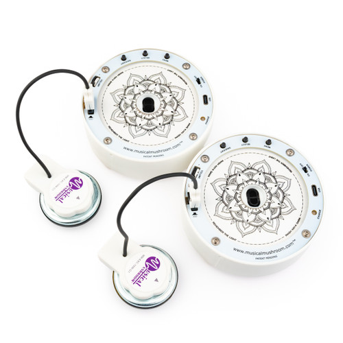 Musical Mushroom Nomad Kit