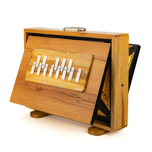 Medium 440Hz 13-Note One Octave C3-C4 Thetazen Shruti Box with Gold Bellows and Carry Case