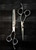 Kamisori Diablo Hairdressing and Barbering Shears Set