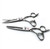Kamisori Diablo II Hair Cutting Scissor Barber Shear Set