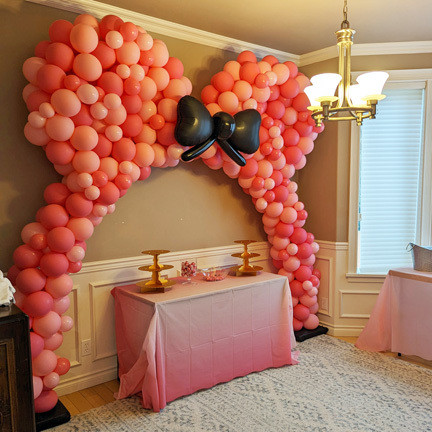 Mickey or Minnie Theme