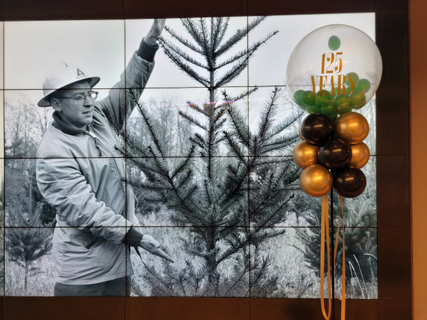 Weyerhaeuser Event - Balloon Kite on a Pole 