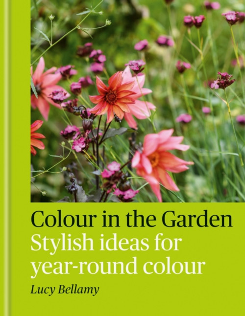 Colour in the Garden : Stylish ideas for year-round colour