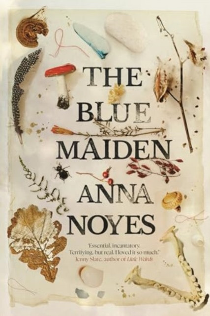The Blue Maiden : A dazzling feminist gothic about witches, loss and resilience