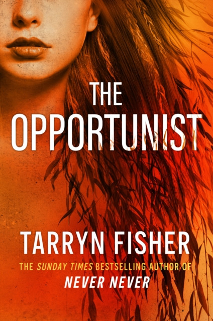 The Opportunist : Book 1