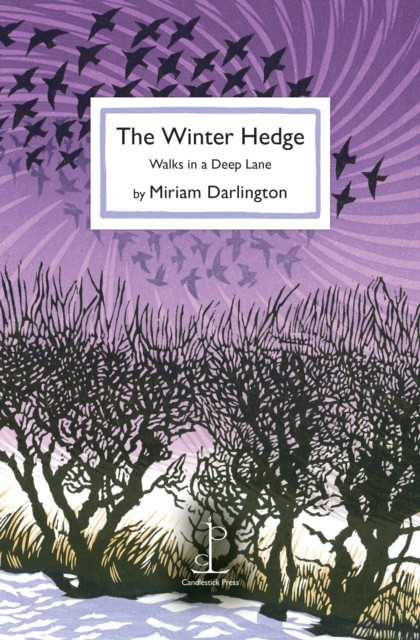 The Winter Hedge : Walks in a Deep Lane