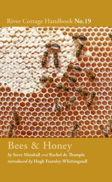 Bees & Honey : River Cottage Handbook No.19