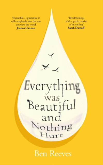 Everything was Beautiful and Nothing Hurt : ‘Incredible... I guarantee it will completely alter the way you view the world’ Joanna Cannon