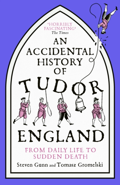 An Accidental History of Tudor England : From Daily Life to Sudden Death