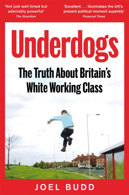 Underdogs : The Truth About Britain's White Working Class