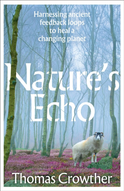 Nature's Echo : Harnessing ancient feedback loops to heal a changing planet