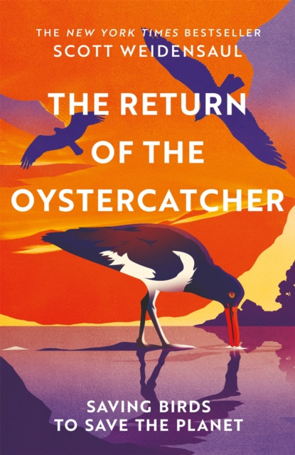 The Return of the Oystercatcher : Saving Birds to Save the Planet