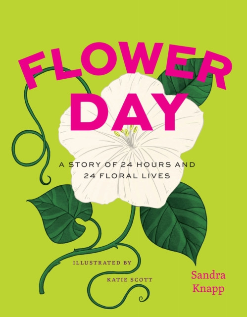 Flower Day : A Story of 24 Hours and 24 Floral Lives