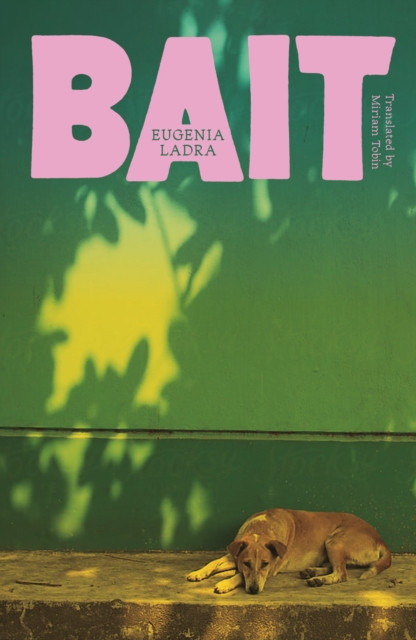 Bait