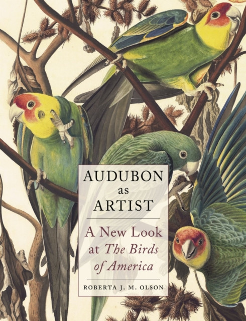 Audubon as Artist : A New Look at The Birds of America