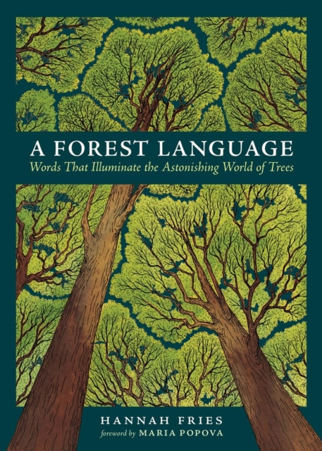 A Forest Language : Words That Illuminate the Astonishing World of Trees