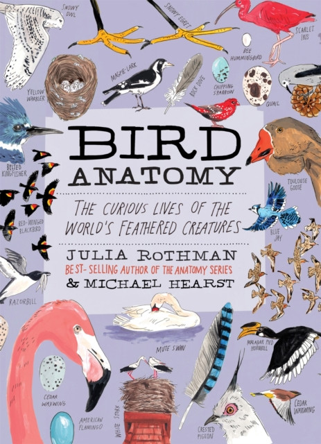 Bird Anatomy : The Curious Lives of the World's Feathered Creatures