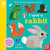 National Trust: My Very First Spotter's Guide: I Spot A Rabbit