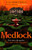 Medlock : A chilling, atmospheric horror novel to read as the nights grow longer and ever darker
