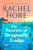The Secrets of Dragonfly Lodge : Discover the captivating new novel from the million-copy bestseller Rachel Hore