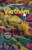 Lonely Planet Vietnam