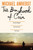 The Boyhood of Cain : 'A new literary star is born . . . dazzling.' The Times