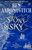 Stone and Sky : Out Now: The Brand New Rivers of London Novel