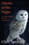 Ghosts of the Night : The Extraordinary Lives of British Owls