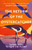The Return of the Oystercatcher : Saving Birds to Save the Planet