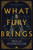 What Fury Brings : Wrath and Fury Book 1