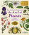 The Curator's Collection: An A to Z of Plants : A pocket-sized Welcome to the Museum gift edition
