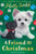 A Friend at Christmas