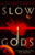 Slow Gods : A space opera of breathtaking imagination from the most original voice in speculative fiction
