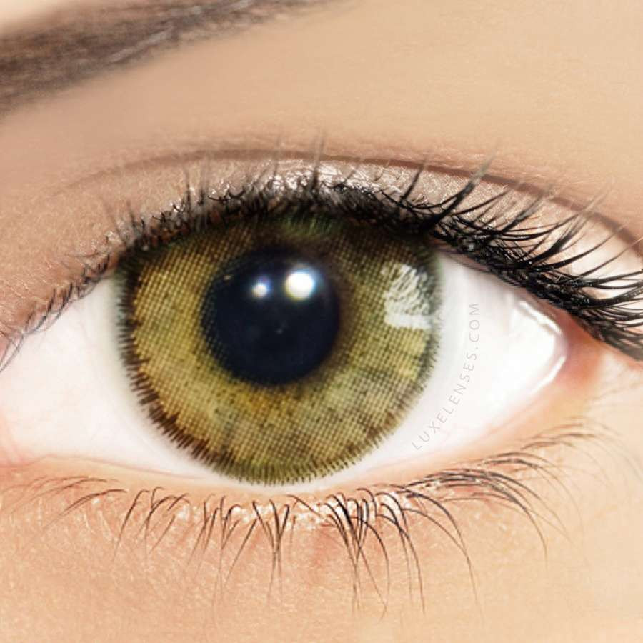 Solotica Natural Avela Hazelnut Brown Yearly Contact Lenses