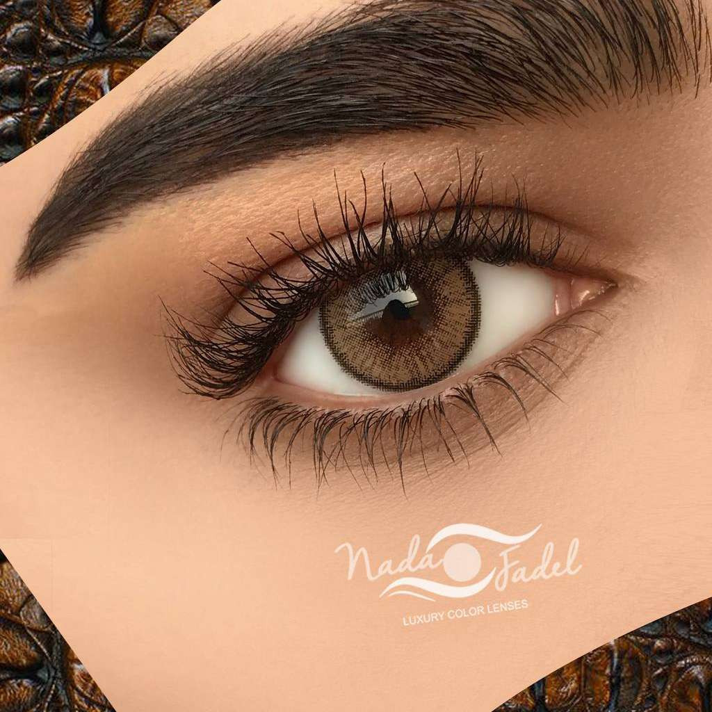 Nada-Fadel-Bee-Contour-Lenses-