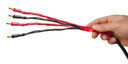 AudioQuest Type 8 Speaker Cable - PREMIUM No Frills Termination - 6 Foot Pair - XBi-Wire Bananas to Spades