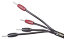 AudioQuest Rocket 33 Speaker Cable - 10 Foot - Bi-Wire - BFA Banana to BFA Banana - Pair