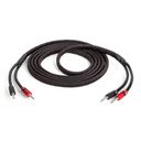 AudioQuest Rocket 33 Speaker Cable - 10 Foot - Bi-Wire - BFA Banana to BFA Banana - Single