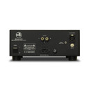 Back of Rogue Audio DragoN Monoblock Amplfier