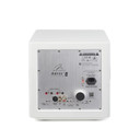 Back of MartinLogan Abyss 8 Powered Subwoofer