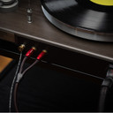 AudioQuest Black Hole Groundgoody Ground Cable - 0.75 Meter