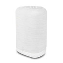 Bluesound Pulse Flex P130 (2025) Portable Wireless Streaming Speaker - White