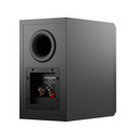 Back of Dynaudio Emit 10 Bookshelf Speakers