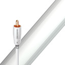 AudioQuest Greyhound Subwoofer Cable - 2.0 Meter