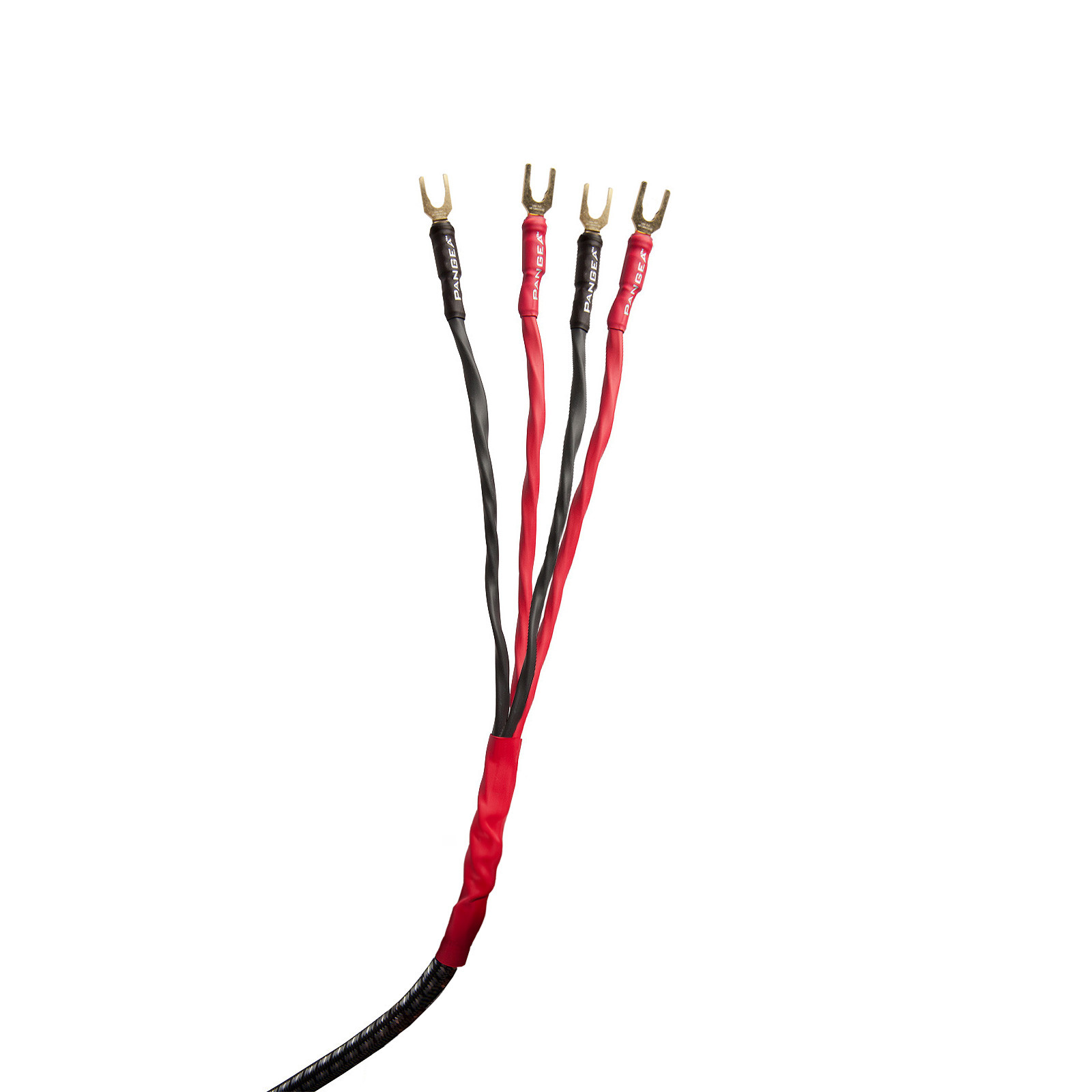 AudioQuest Type 8 Speaker Cable - PREMIUM No Frills Termination