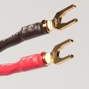 AudioQuest Type 4 Speaker Cable - PREMIUM No Frills Termination - 20 Foot Pair - Spades to Bananas