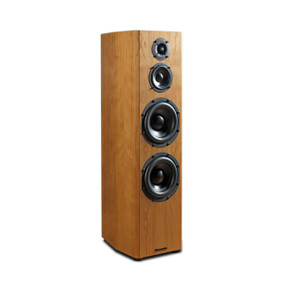 Bryston Middle T Floorstanding Speaker - Rosewood - Each