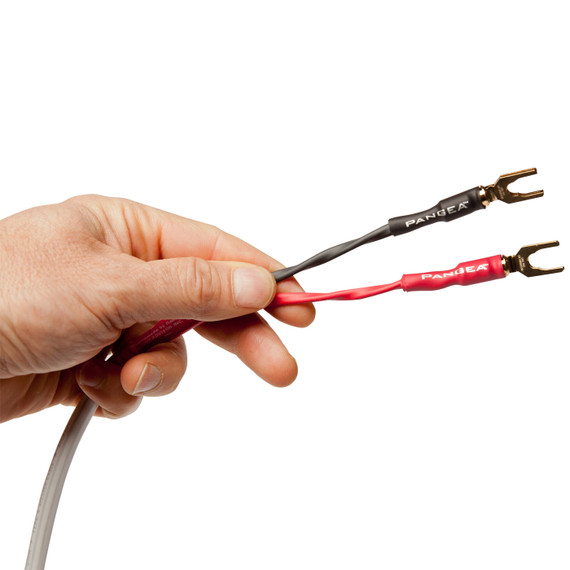 AudioQuest Type 4 Speaker Cable - PREMIUM No Frills Termination - 20 Foot Pair - Spades to Spades