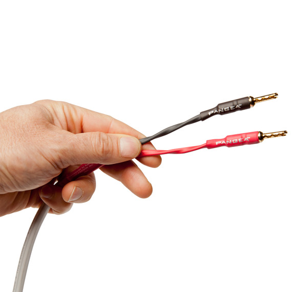 AudioQuest Type 4 Speaker Cable - PREMIUM No Frills Termination - 6 Foot Pair - Bananas to Bananas